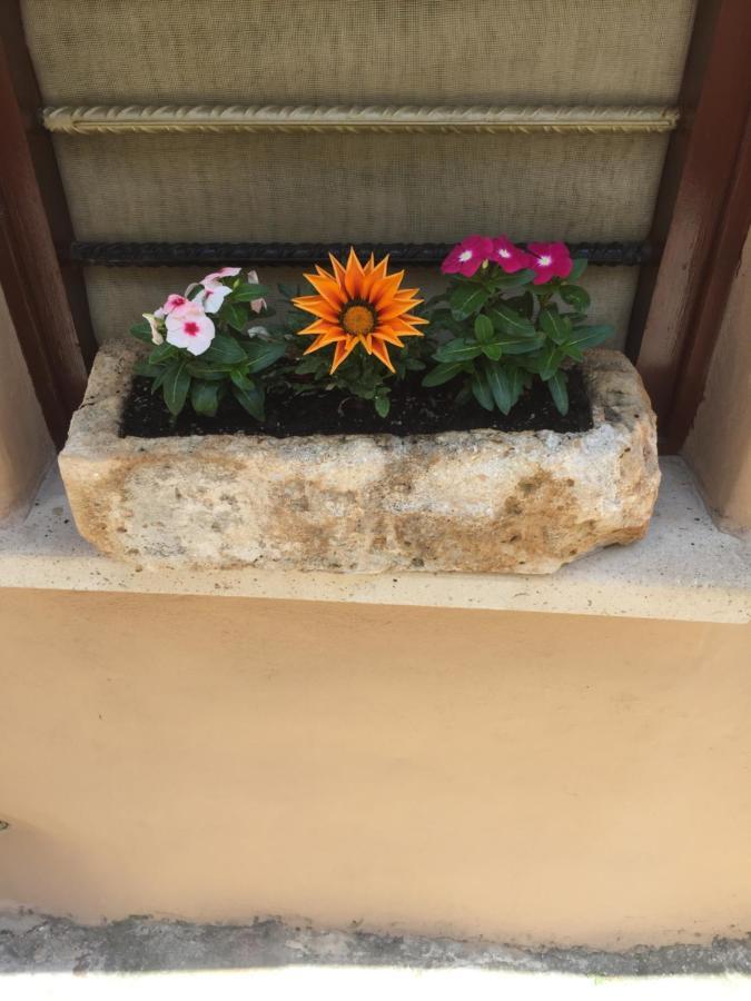 Calle Veneziana Case de vacanță *